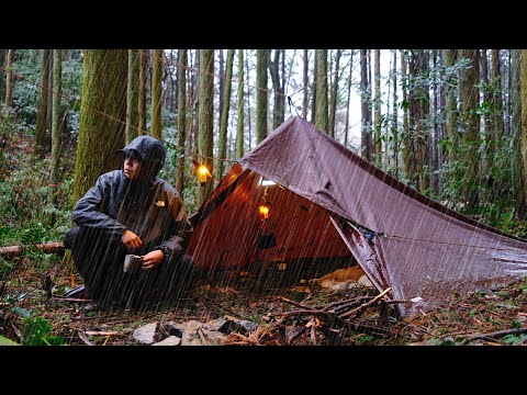 SOLO Camping in Tarp Shelter in Heavy Rain (rain asmr)