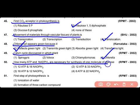 Photosynthesis MCQ for NEET | Class 11 | Last minute Revision | One Shot Video