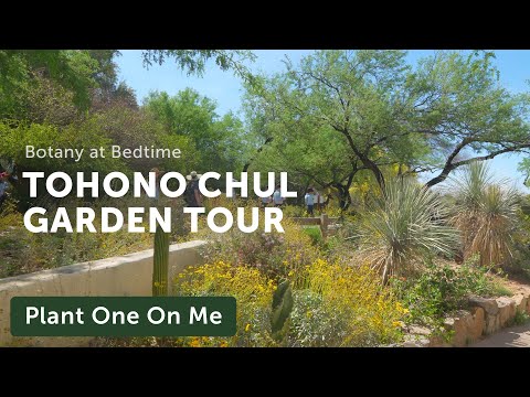 TOHONO CHUL Symphonic DESERT GARDEN TOUR — Ep. 339