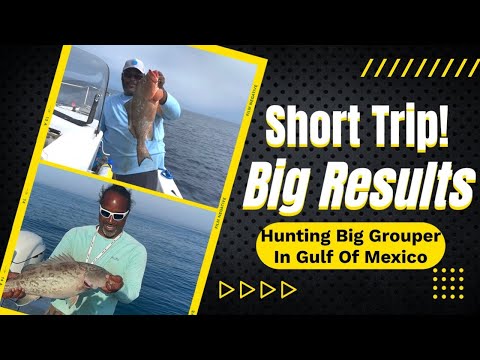 Miniature Trips, Maximum Rewards: Catching Big Fish Fast