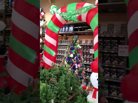 Ace Hardware Gigantic Christmas Blowups #christmas  #shorts