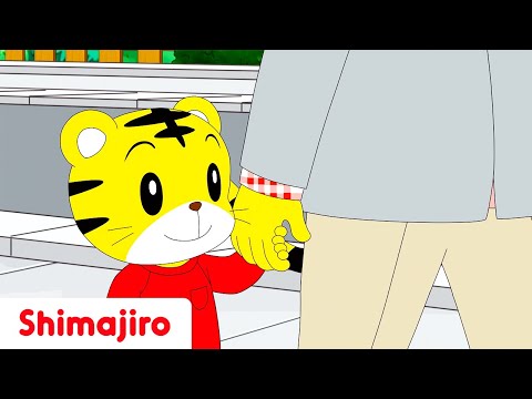 I love my Daddy! ❤️| Father’s Day Songs with Shimajiro | Nursery Rhymes 🎶