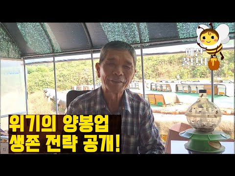 위기의 한국양봉. 탈출 작전 1탄(후편)