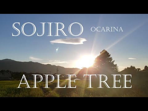 アップル・トゥリー APPLE TREE / 宗次郎 Sojiro【ハーモニー】