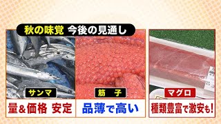 【目利きのプロ伝授】「激アツ」“秋の味覚”は？