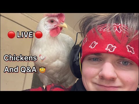 🔴🤠 Joseph is Live on his Farm. Winter Q&A