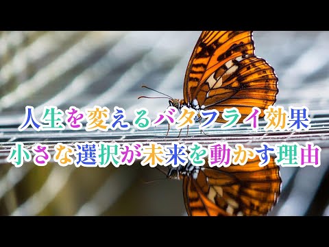 人生を変えるバタフライ効果＜小さな選択が未来を動かす理由＞