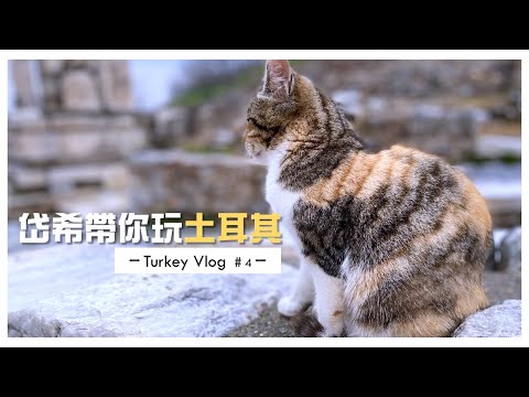 千年古蹟『聖索菲亞大教堂』來囉~~~ 【岱希帶妳出去玩】 Turkey Vlog#4