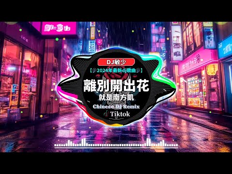 💗最新最火DJ抖音版2024【最佳 DJ 混音音乐 ♪】🎧全中文DJ舞曲 高清 新2024夜店混音【50首抖音中文歌曲2024】離別開出花 - 就是南方凱/周林楓 - 憑什麼/承桓 - 下一次哭