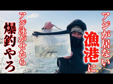 【釣り戦略】サビキで鯵1匹も釣れない漁港でアジ泳がせたら勝ちゲーちゃうん。