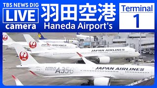 【ライブ】羽田空港 第1ターミナルのライブカメラ 現在の様子は？Haneda Airport's Terminal 1| TBS NEWS DIG