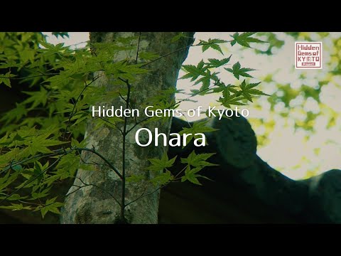 Hidden Gems of Kyoto  Ohara