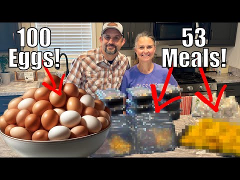 We turned 100 EGGS into 53 FREEZER MEALS!