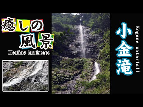 小金滝【 Kogane Waterfall 】高知県大川村