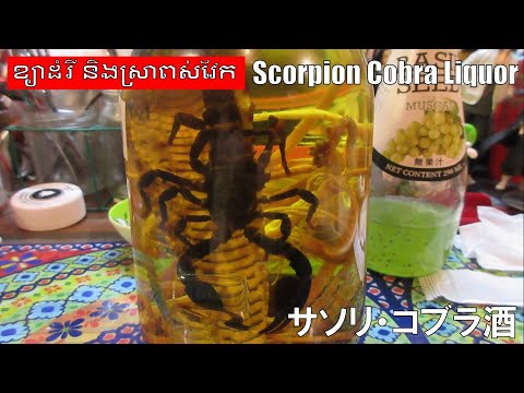 サソリコブラ酒@カンボジア料理 Scorpion & Cobla Liquor