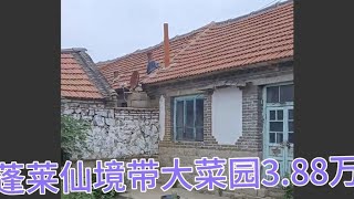 山东烟台蓬莱仙境板正四间特色石头房新换瓦带大菜园温泉村3.88万