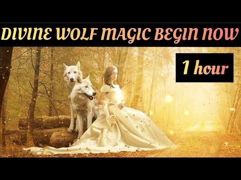 💖🦋🌈DIVINE WOLF MAGIC BEGIN NOW ||SWITCHWORD CHANT|| 1hour💖🦋🌈🌸🙏🙌