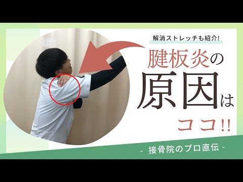 【肩の痛み〜腱板炎〜】朝、起きたとき肩が上がらない、物を取ろうとしたとき痛みが走ったときのストレッチ！｜接骨院のプロが教えるお家セルフケア｜テラピスト接骨院