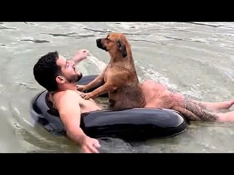 Los momentos graciosos entre perro y dueño te harán reír durante todo el día