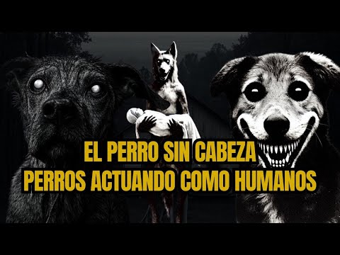 4 Historias de perros actuando como humanos. El perro del pantano.