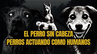 4 Historias de perros actuando como humanos. El perro del pantano.