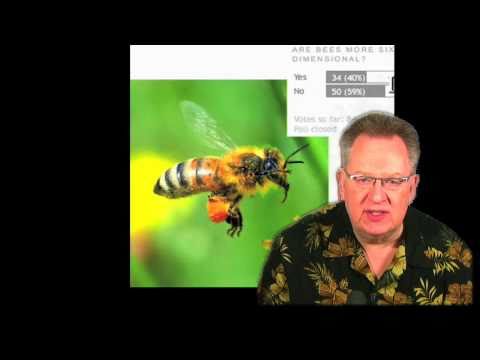 Bees and the LHC