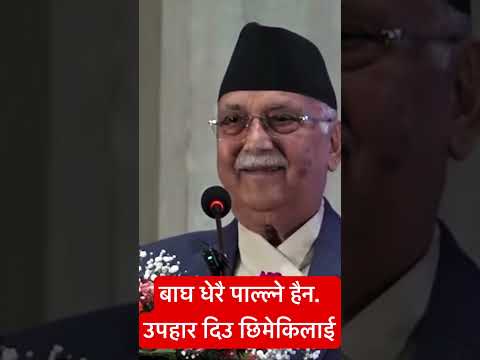 बाघ धेरै नपालौ ! pm kp oli