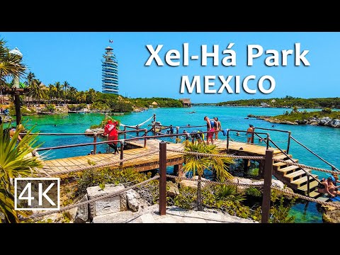 [4K] Xel-Ha - Aquatic Park in Riviera Maya - Mexico - Walking Tour