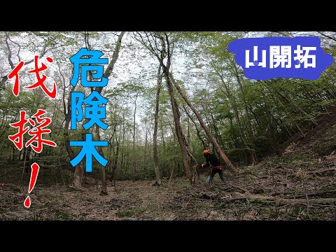 【山開拓】危険木伐採で見違える風景に！