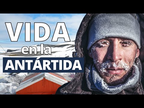 This is how they live in Antarctica: population, temperatures, bases, how to travel