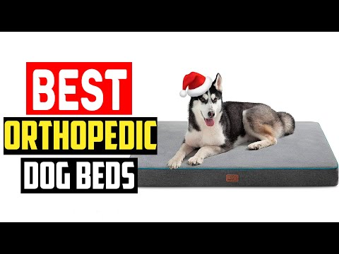 ✅Top 5 Best Orthopedic Dog Beds For 2024