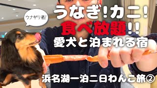 【犬連れ静岡浜名湖旅行】犬と泊まれる宿「浜名湖レークサイドプラザ」さんに泊まって食べ放題を満喫！静岡県浜名湖一泊二日わんこ旅②旅するペットショップの売れ残りと元保護犬