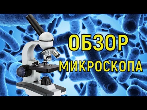 Отличный подарок ребенку. Обзор микроскопа "МАЛЕНЬКИЙ УЧЕНЫЙ-4" модель ZY852801