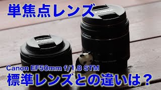 「標準レンズ」と「単焦点レンズ」比べてみたよ「Canon EF50mm f/1.8 STM」｜はじめての単焦点レンズ