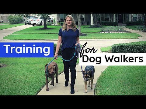 Training You NEED to be a Dog Walker