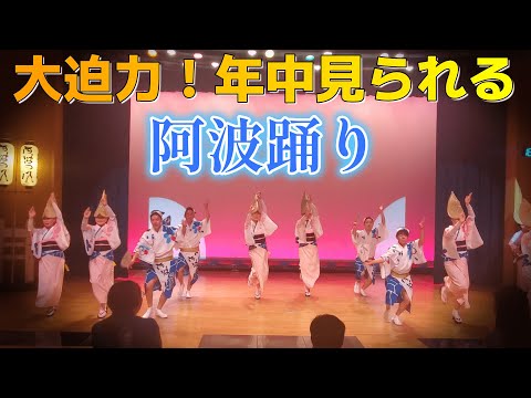 【四国九州旅⑭】大迫力！年中見られる阿波踊りを見に行ってみた！