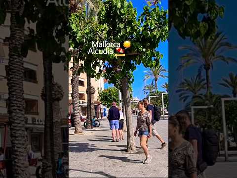 Mallorca ☀️ Alcudia ⛱️ #travel #viral #holidays #mallorca #beach #spanishisland #mallorcatravelguide