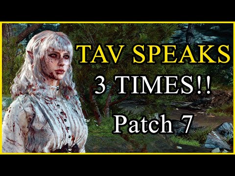 Tav Speaks Three Times in Patch 7 | Baldur's Gate 3