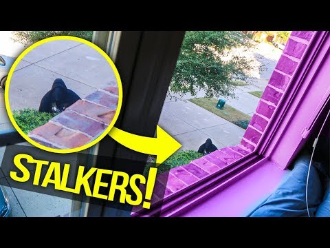 WE FOUND STALKERS OUTSIDE OUR HOUSE!!! | NoBoom