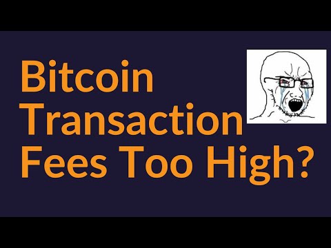 Are Bitcoin Transaction Fees Too High?