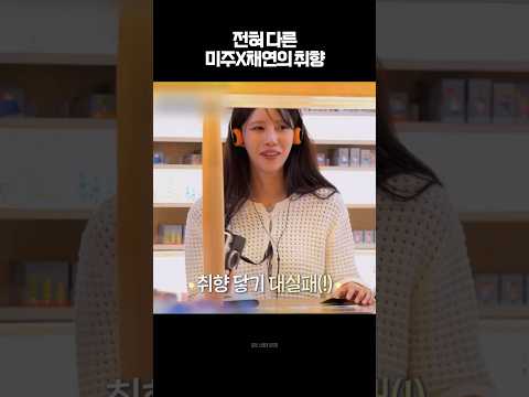 전혀 다른 미주X채연의 취향 (ft. 오르골)