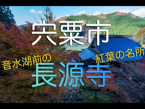 【兵庫県宍粟市】長源寺 ~音水湖/引原ダム前に佇む紅葉の名所~ | Hyogo Travel Vlog | Chogenji Temple in Shiso City, Japan.