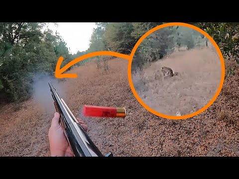 Dad Gets It DONE!! | Kill-Shot Fast As A Deer Can Go!! | TKB S2 E10