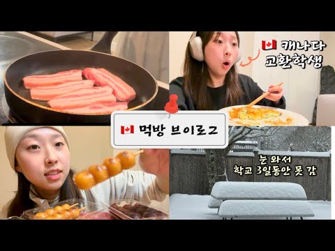 🇨🇦먹방 브이로그| 폭설 내려서 3일간 집에 갇히고, 살크업| 삼겹살,김치, 양배추 오꼬노미야끼, 미타라시 당고, 쌀국수, 모찌, 다이어트 #먹방브이로그 #교환학생브이로그