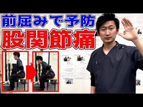 【股関節痛】椅子に座って前屈みで股関節の痛みを予防できます【ハリボディ TV】