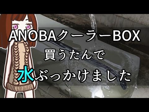 【ANOBA ブリザードソフトクーラー】超スタイリッシュなクーラーBOX