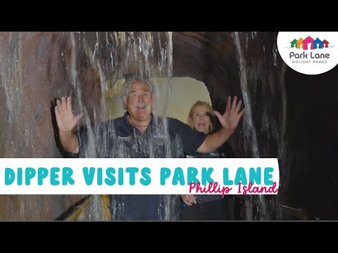 Explore Phillip Island Park Lane Holiday Park & A Maze'N Things | Dippers Destinations