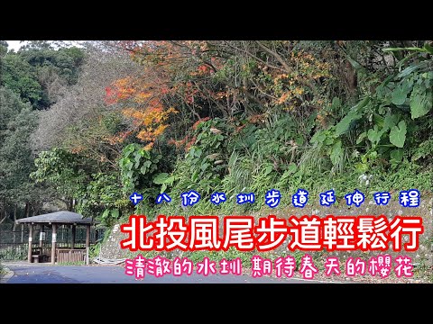 北投風尾步道 I 十八份水圳步道及東昇步道延伸行程 I 春節後賞櫻花步道(2023年/元月初拍攝)