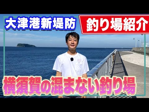 【横須賀 大津港新堤防】うみかぜ公園や海辺つり公園が満員でもアジ釣りができるサビキスポット紹介