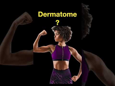 Testing Dermatomes, Myotomes and DTRs #shorts  (Part C)